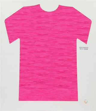 28NM/2D 段染仿羊绒