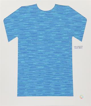 28NM/2D 段染仿羊绒