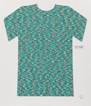 28NM/2D 段染仿羊绒