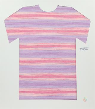 28NM/2D 段染仿羊绒