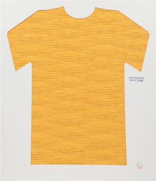 28NM/2D 段染仿羊绒