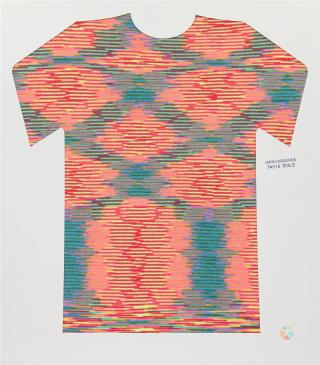 28NM/2D 段染仿羊绒