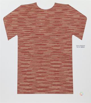 28NM/2D 段染仿羊绒