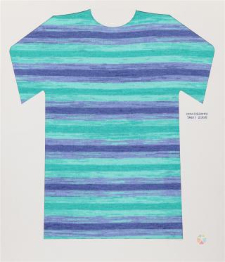 28NM/2D 段染仿羊绒