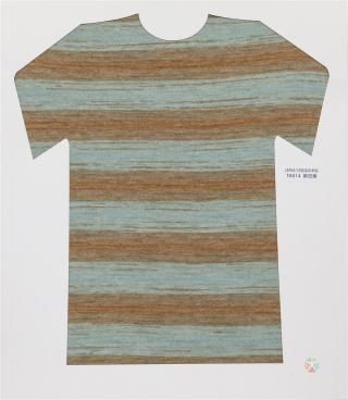 28NM/2D 段染仿羊绒