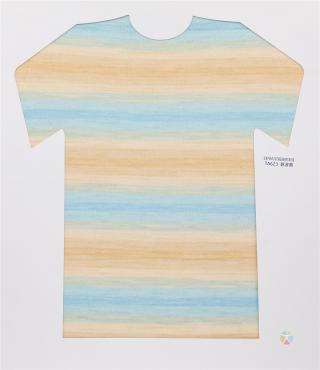 28NM/2D 段染仿羊绒