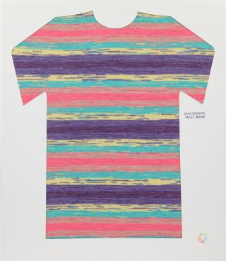 28NM/2D 段染仿羊绒