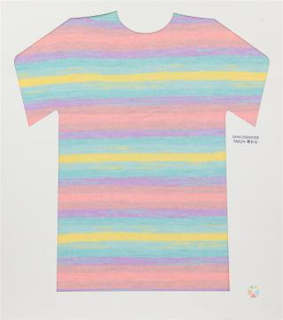 28NM/2D 段染仿羊绒