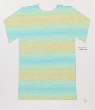 28NM/2D 段染仿羊绒