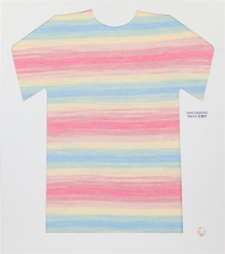 28NM/2D 段染仿羊绒