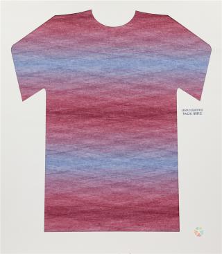 28NM/2D 段染仿羊绒