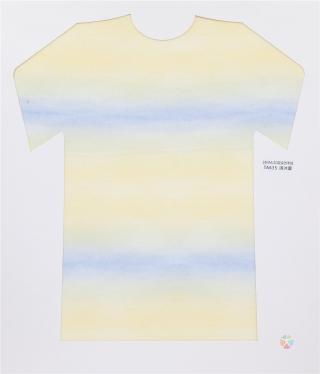 28NM/2D 段染仿羊绒