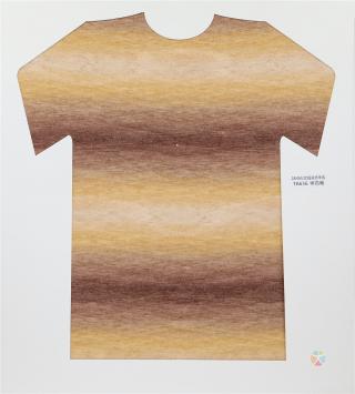 28NM/2D 段染仿羊绒