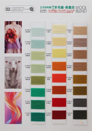 2/50NM 弹力羊毛棉·桑蚕丝
