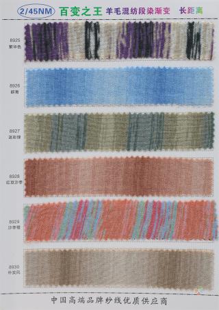 2/45NM 渐变段染长距离