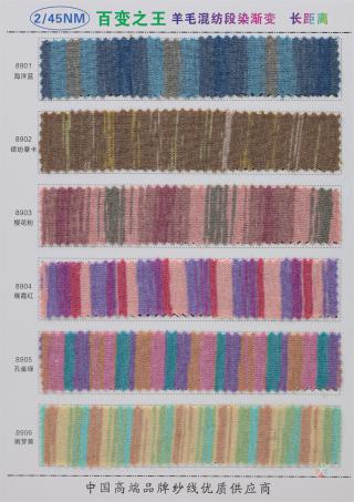2/45NM 渐变段染长距离