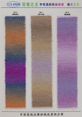 1/3.8NM 6羊毛段染渐变