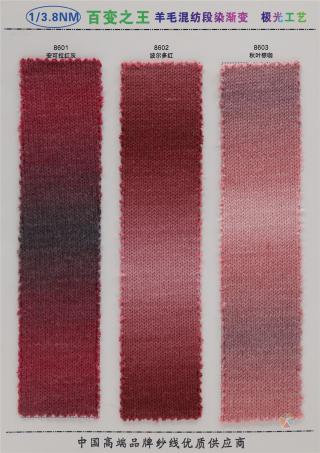 1/3.8NM 6羊毛段染渐变