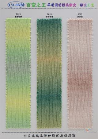 1/3.8NM 6羊毛段染渐变
