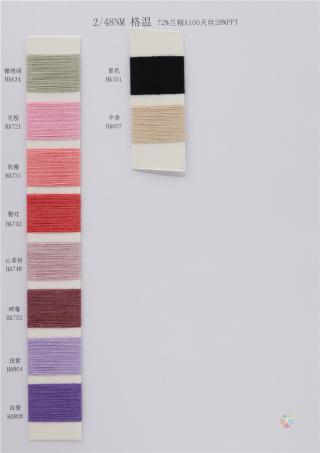 2/48NM 格温