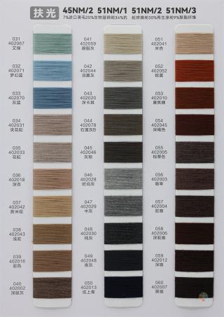 45NM/2 51NM/1 51NM/2 51NM/3 扶光