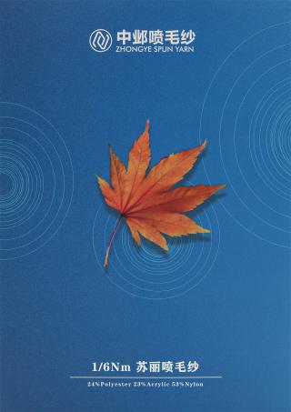 1/6Nm 苏丽喷毛纱