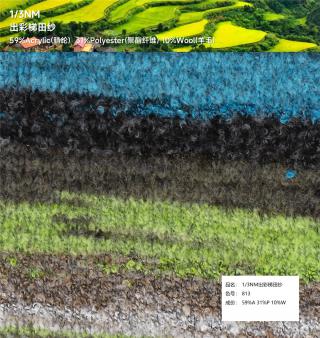 1/3NM 出彩梯田纱