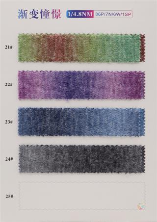 1/4.8NM 渐变憧憬