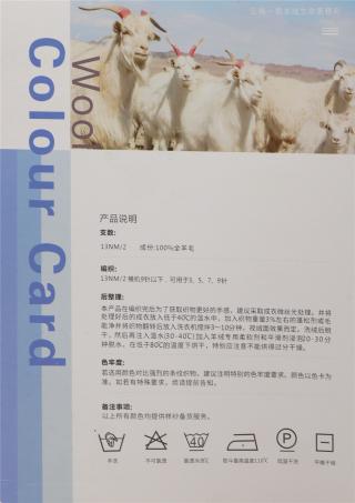 13NM/2 100%羊毛