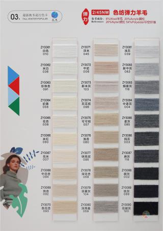 2/45NM 色纺弹力羊毛