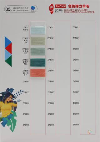 2/45NM 色纺弹力羊毛