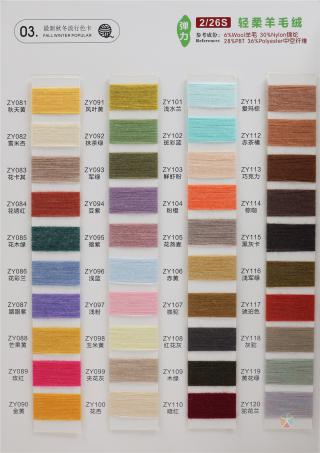 2/26S 经柔羊毛绒