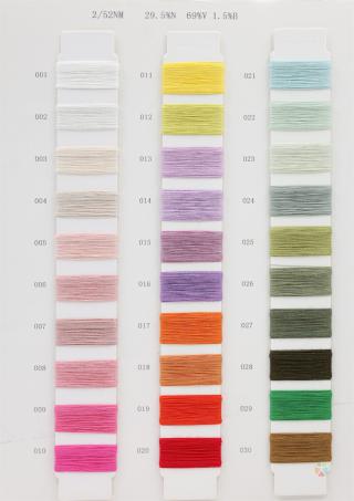 2/52NM 莱赛尔银丝