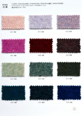 1/3.5NM BY486 迟暮