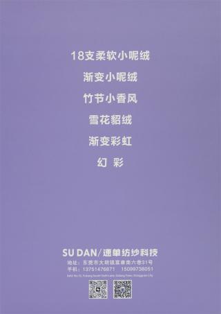 20NM/1 喷彩柔软小呢绒