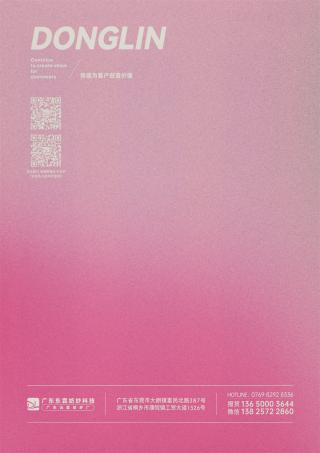 3NM/1 飘逸浣熊