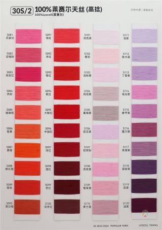 30S/2 100%莱赛尔天丝（高捻）