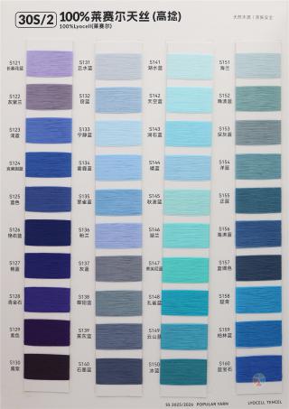 30S/2 100%莱赛尔天丝（高捻）