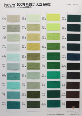 30S/2 100%莱赛尔天丝（高捻）