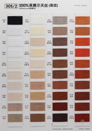 30S/2 100%莱赛尔天丝（高捻）