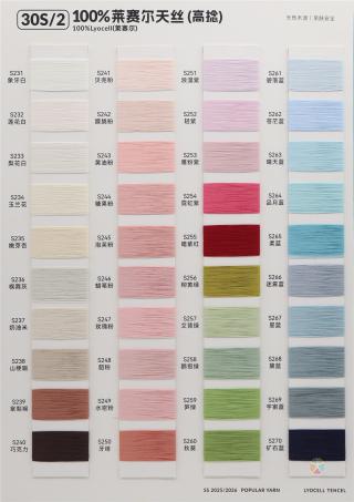 30S/2 100%莱赛尔天丝（高捻）