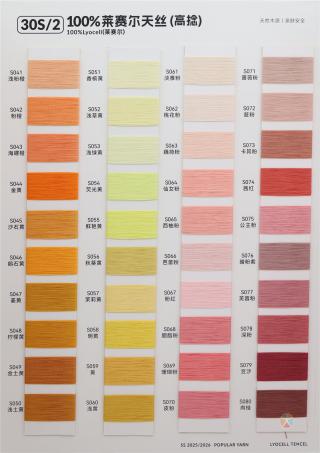 30S/2 100%莱赛尔天丝（高捻）
