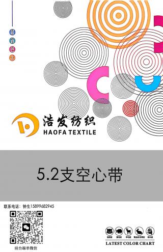5.2 支空心带