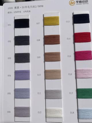 1009 莱恩·50羊毛天丝58支