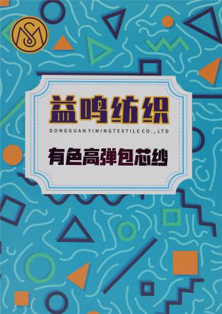 28S/2 有色高弹包芯纱