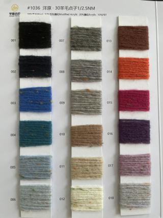 1036 洋原·30羊毛点子纱2.5支 彩点纱