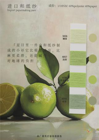 1/18NM 进口和纸纱