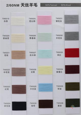 2/60NM 天丝羊毛