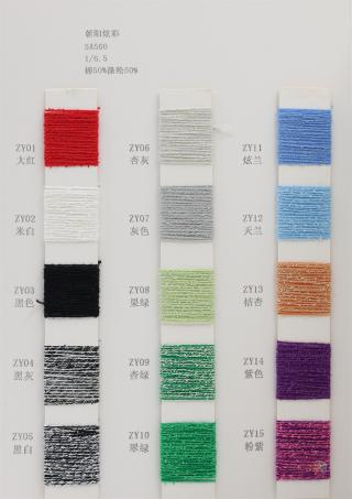 1/6.5NM 朝阳炫彩