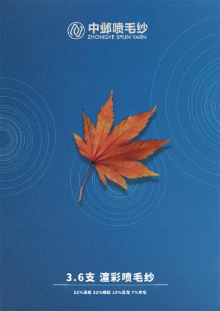 3.6支 渲彩喷毛纱